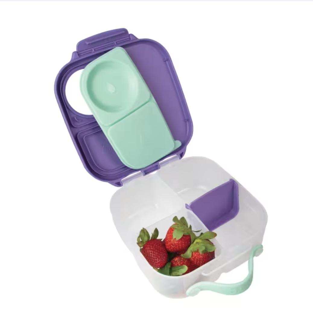 Mini Lunch Box - Lilac Pop